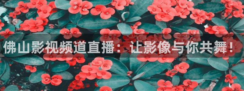 午夜看片神器天美