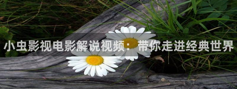 菲律宾午夜电影