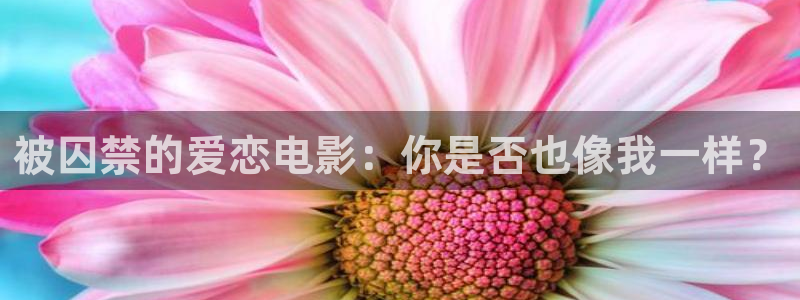 午夜 影院 蜜桃