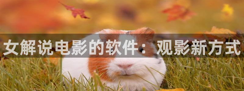 新闻图片