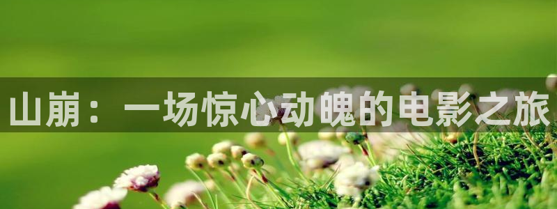 午夜神马影院网