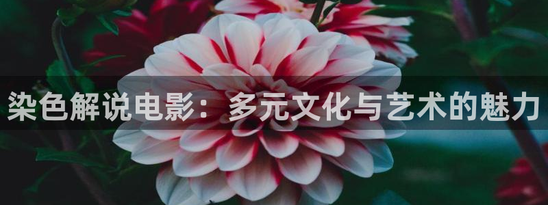 达达兔影院午夜影院